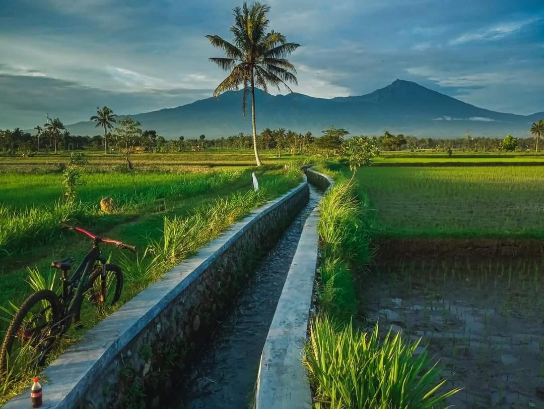 Peraja Bungalows Loyok Sangyang Szoba fotó